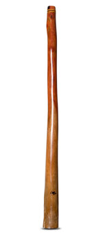 Tristan O'Meara Didgeridoo (TM258)